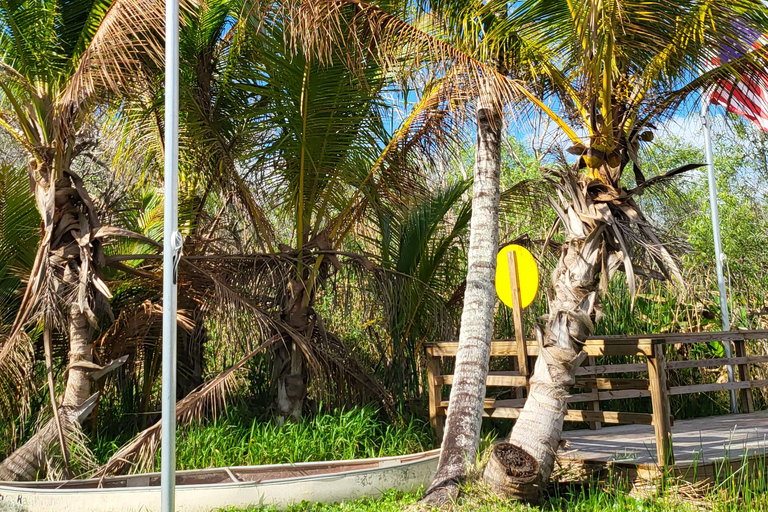 Everglades: boat tour with transportation& entrance included