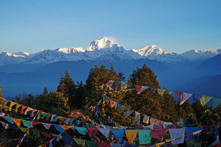 Katmandou : 3 jours de randonnée guidée à Ghorepani Poon HillAu départ de Katmandou : randonnée guidée de 3 jours au lever du soleil à Poon Hill