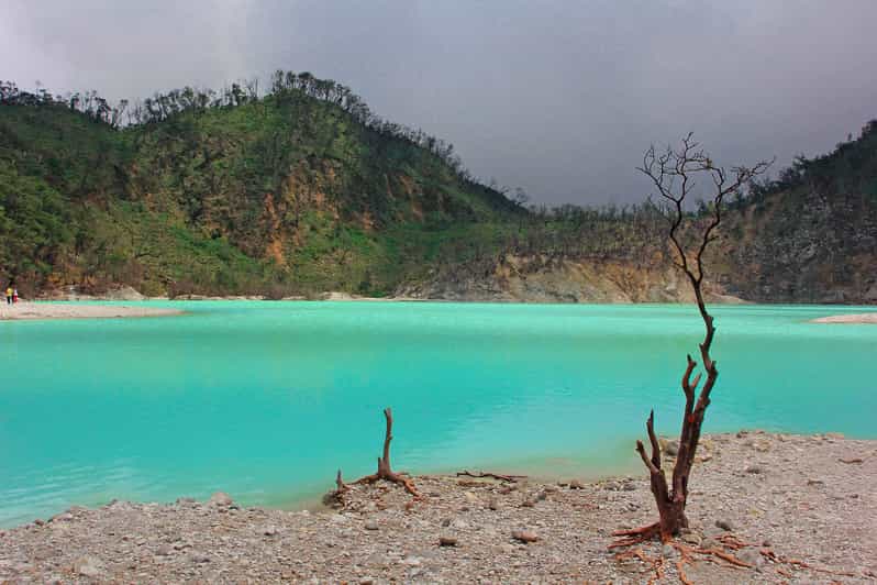 Bandung: White Crater and Tea Plantation Day Trip with Lunch