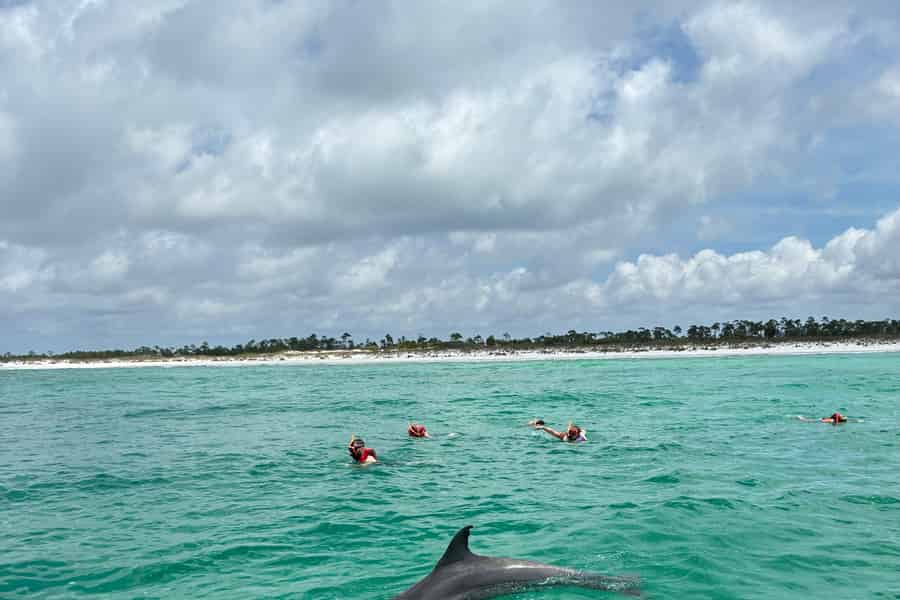 Panama-Stadt: Schwimmen mit Delfinen & Schnorcheln. Foto: GetYourGuide Panama-Stadt: Schwimmen mit Delfinen & Schnorcheln. Foto: GetYourGuide