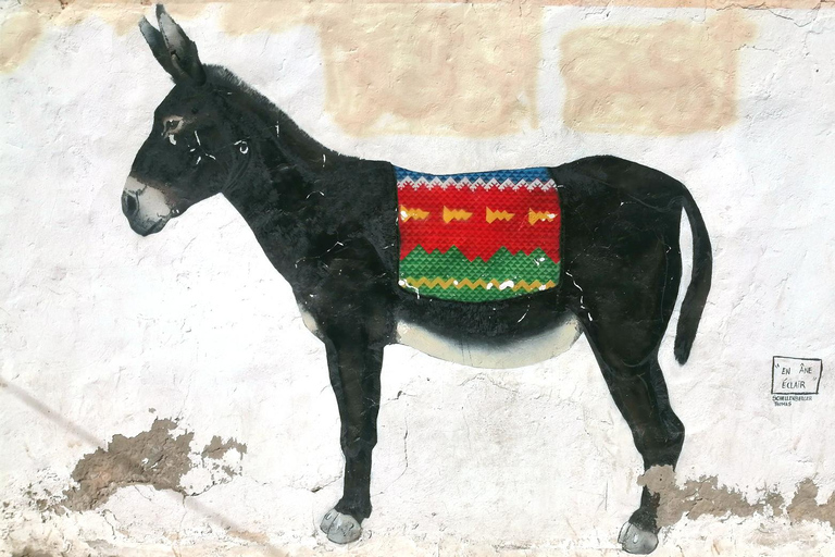 Djerba 1/2 day tour : Djerba must-see gems with tour guide