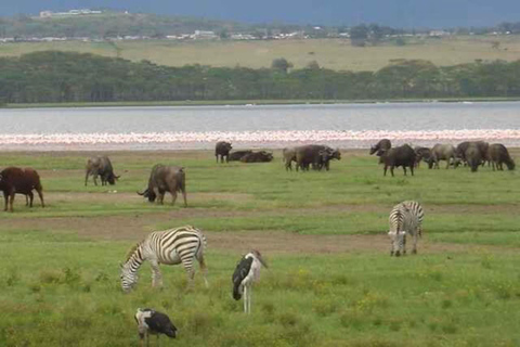 Nairobi: Hell’s Gate, Crescent Island, & Raptor Center Tour