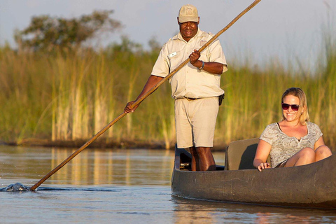 Okavango Delta: Mokoro Canoe Safari with Bush Walk