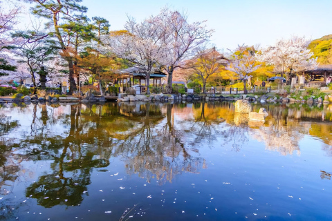 From Sapporo: Shakotan, Yoichi, & Otaru Private Day Trip
