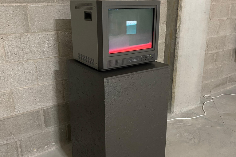 New Art Centre: rondleiding