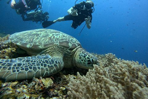 North of Mauritius: Scuba Diving Tour Scuba Diving Tour in the North of Mauritius For 2 Dives