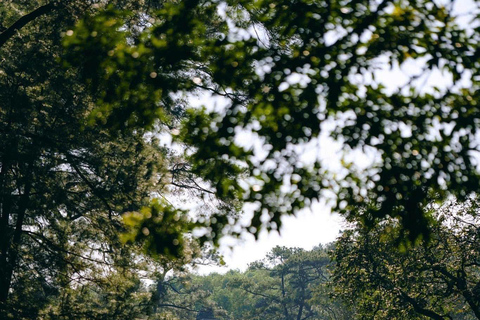 Hue: Excursión de un día a los lugares más destacados con conductor de habla inglesaPuedes elegir visitar 5 destinos