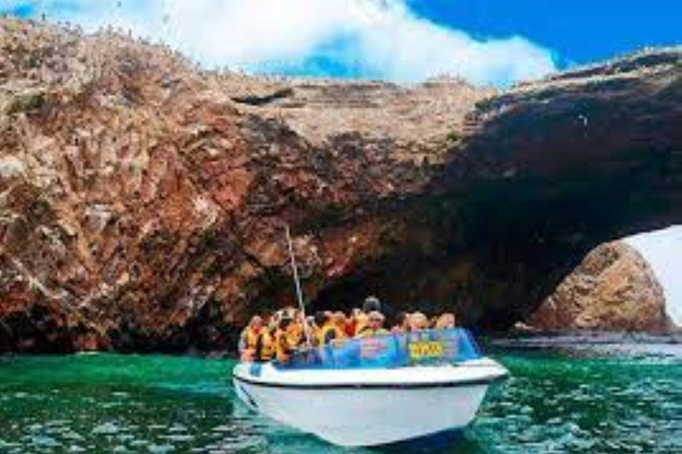 Heldag Ballestas Islands - Nazca-Nazca Lines Överflygning