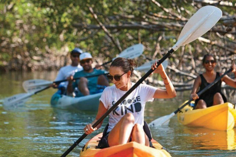 Explore Private Mangrove Kayak Adventure with Village Tour TRANSEER AND ENTRANCE FEE ALL ARE INCLUDED