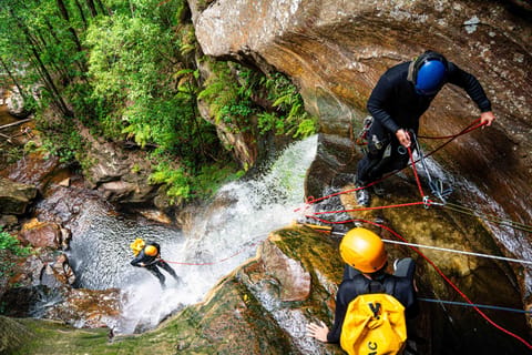 Blue Mountains: Empress Falls Canyon Abseiling Adventure - Image 2