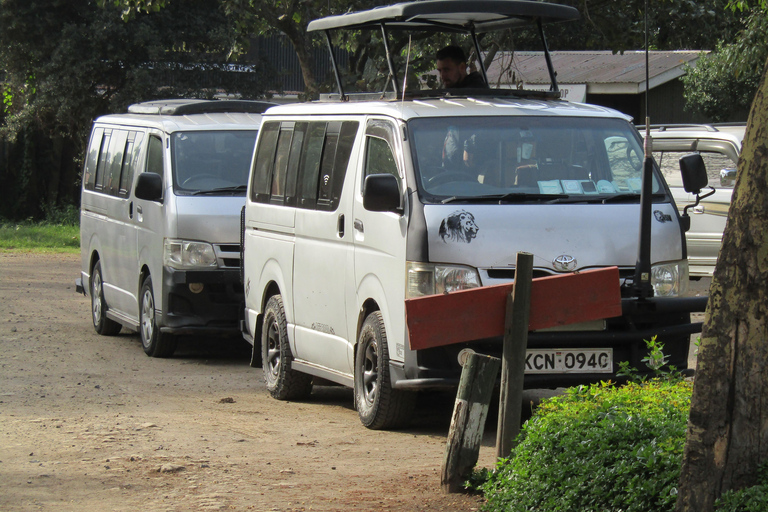 De Nairobi: Viagem de 1 dia ao Parque Nacional do Lago Nakuru