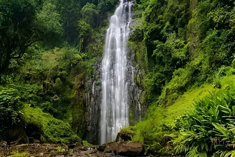 Arusha : visite des chutes d&#039;eau de Materuni et du café