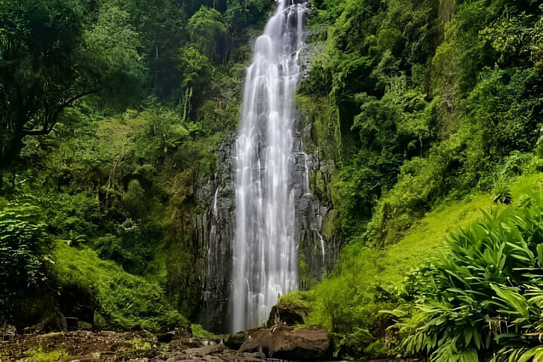 Arusha: Materuni Waterfalls and Coffee Tour