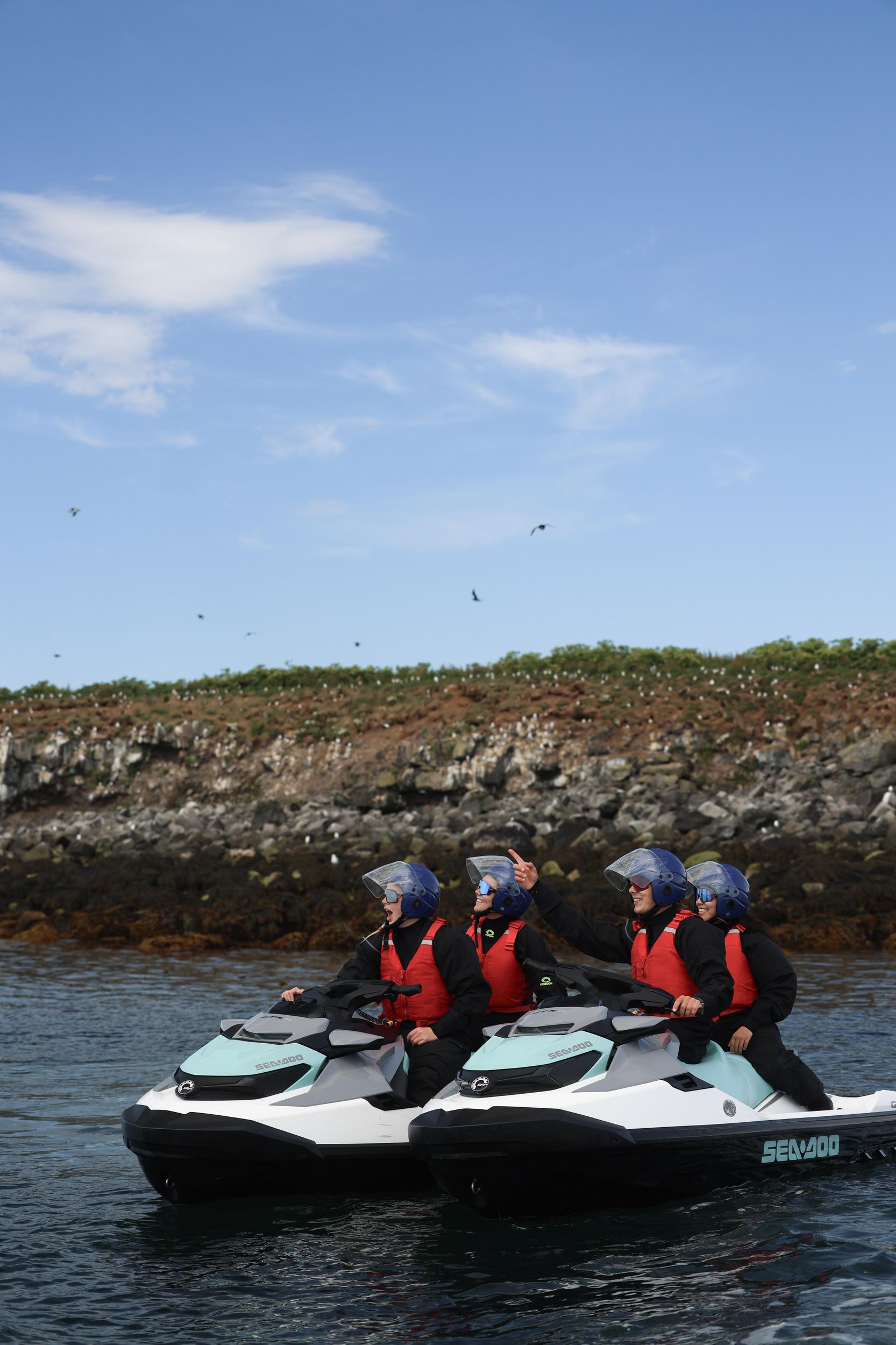 Reykjavík: Geführte Jetski-Tour zur Papageientaucherinsel