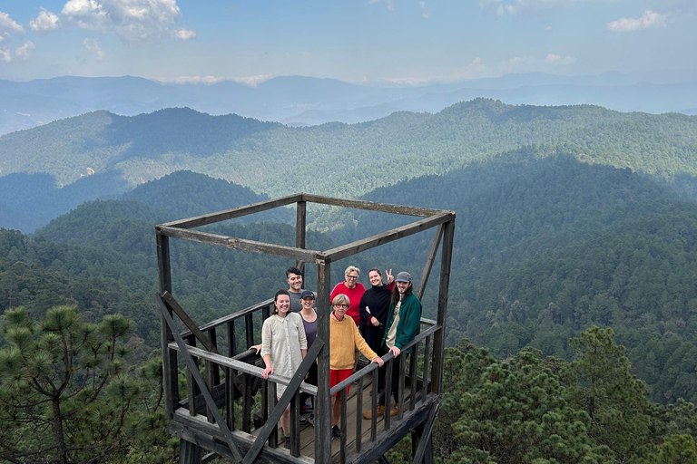 Oaxaca: Hiking in the Sierra Norte Forest