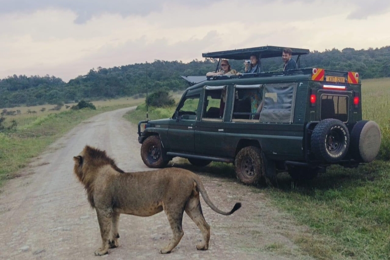 Parque Nacional de Nairobi;4hr Gamedrive en el único parque de la ciudad del mundo
