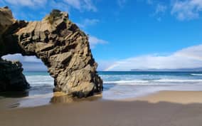 Hobart: Bruny Island Adventure: Hike, Highlights & Tastes