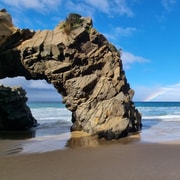 Hobart: 2 Day Combo Bruny Island & Port Arthur with Devils