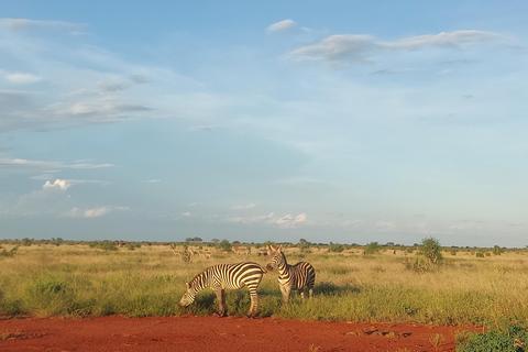 Mombasa: 5-Day Safari- Amboseli, SaltLick, Ziwani & Ngutuni