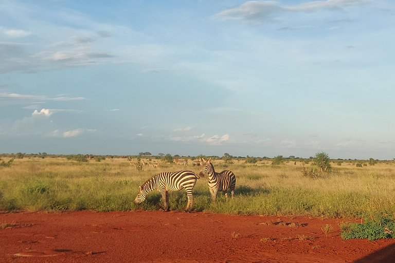 Mombasa: 5-Day Safari- Amboseli, SaltLick, Ziwani & Ngutuni