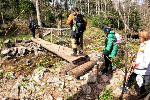 From Sarajevo: Treskavica Mountain Hiking Tour with Lunch
