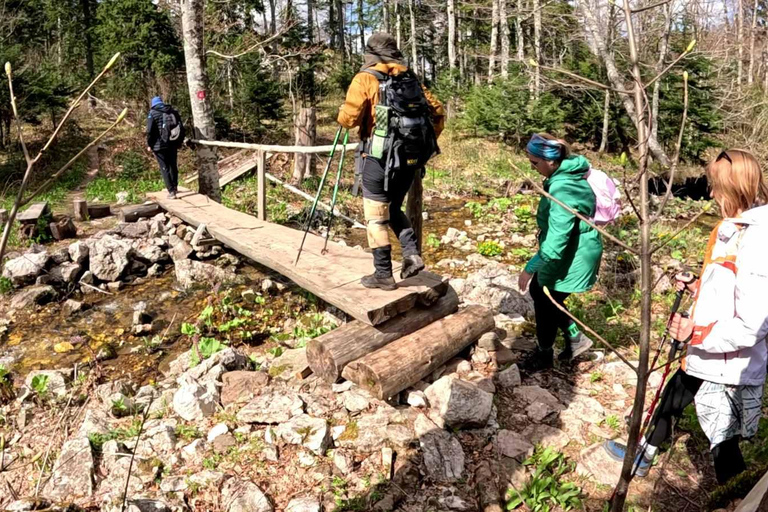 From Sarajevo: Treskavica Mountain Hiking Tour with Lunch