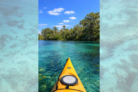 Orlando: Silver Springs Guided Kayak Tour with Shuttle