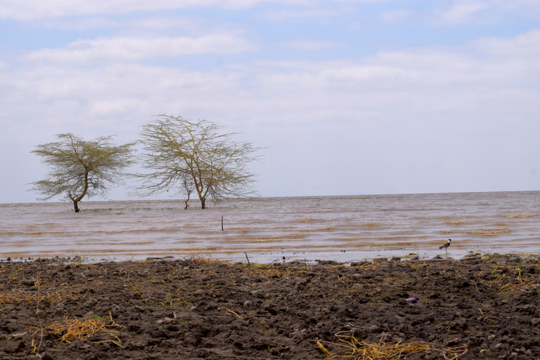 Viaggio di due giorni al Lago Manyara con canoa e passerella tra le cime degli alberiCampeggio a Karatu