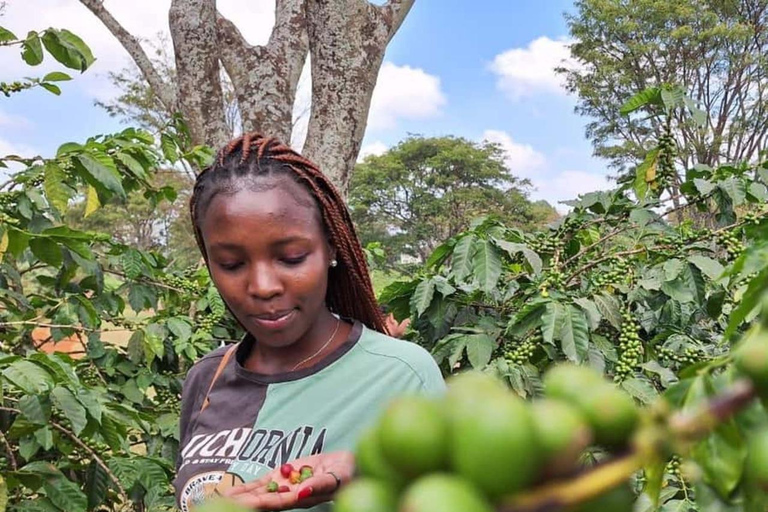 Zanzibar: Stone Town Guided Bike Tour with Coffee & Spices