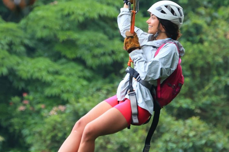 Bentota/Mirissa/Hiriketiya/Tangalle: Ella Scenic Day Tour Udawalawe Elephant Transit Home & Ella Day Tour
