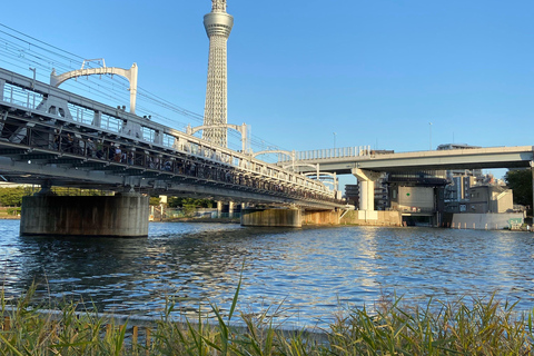 Tokyo: Private Car Tour with Mai