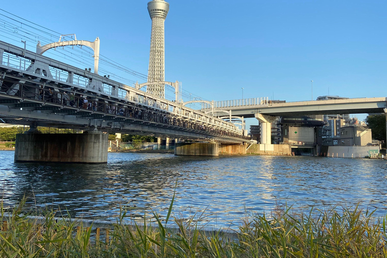 Tokyo: Private Car Tour with Mai