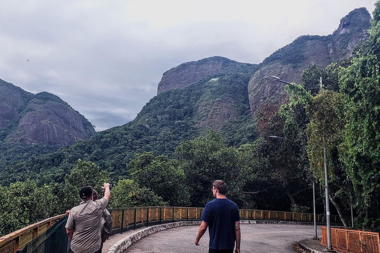 Caves and Waterfalls of Tijuca Forest - by Alan Denis
