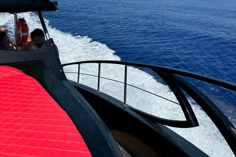 Paphos: Sea Safari Cruise with Blue Marlin Trimaran Yacht