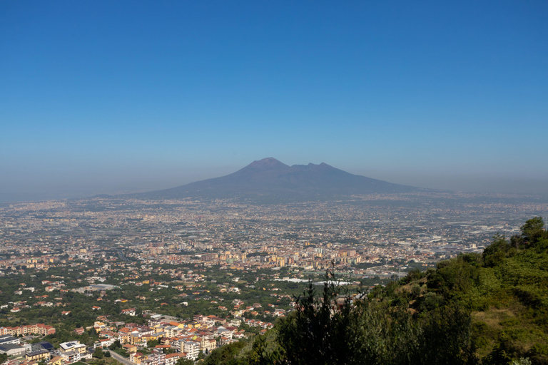 Visite de la côte amalfitaine, de Positano et de Sorrente au départ de Naples