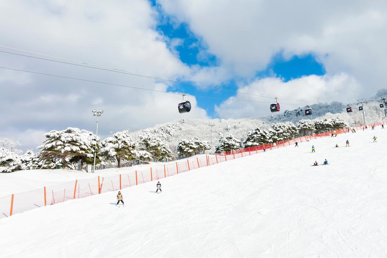 Vivaldi Park_ Ski &amp; Lift Pass (7 ore) con Seoul Shuttle[830am Myeongdong] Attrezzatura da sci e skipass (7 ore)