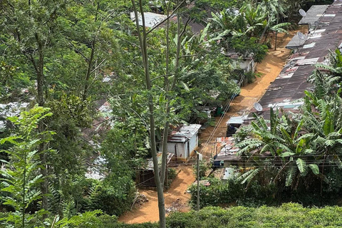 Kandy: Sir James Taylor’s Loolkandura Tea Heritage Hike