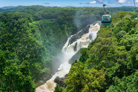 Von Port Douglas aus: Hartley&#039;s Crocodile Park, Skyrail &amp; Zug