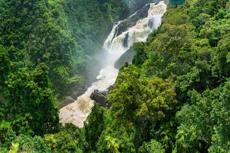 Vanuit Port Douglas: Hartley&#039;s Krokodillenpark, Skyrail &amp; Trein