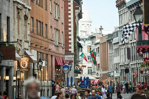 Full-Day Montreal Guided City Tour with Cruise from Ottawa