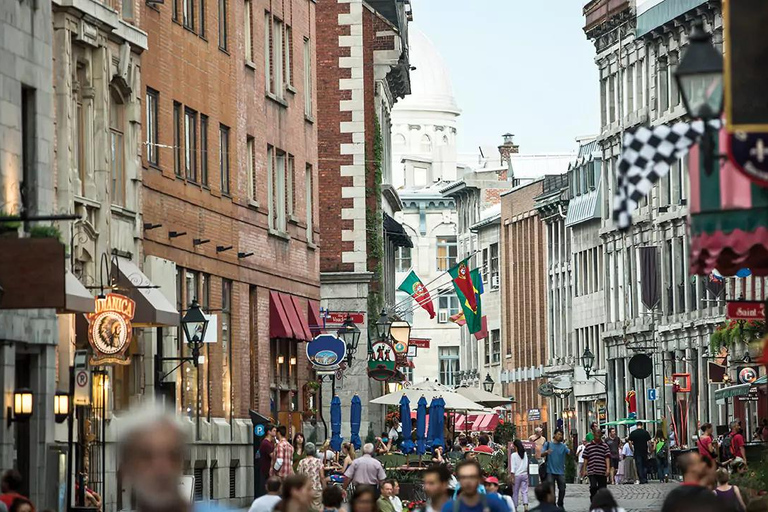 Full-Day Montreal Guided City Tour with Cruise from Ottawa