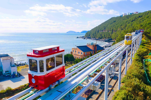 Busan Day Tour from Daegu:6 Highlights with Gamcheon Village Daegu ➔ Daegu Drop-off