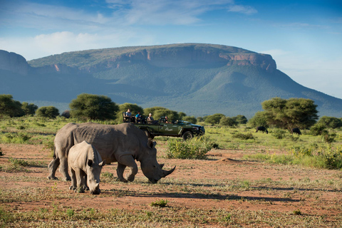 Johannesburg Safari dagstur - Pilanesberg Big 5 äventyr