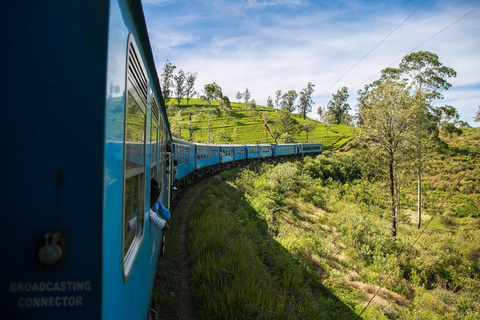 Sri Lanka Bergzug, Wasser-Rafting, Dschungel-Safari