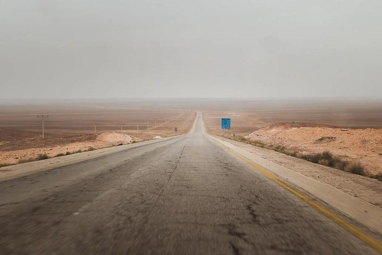History & Nature: Azraq Wetland Reserve and Desert Castles