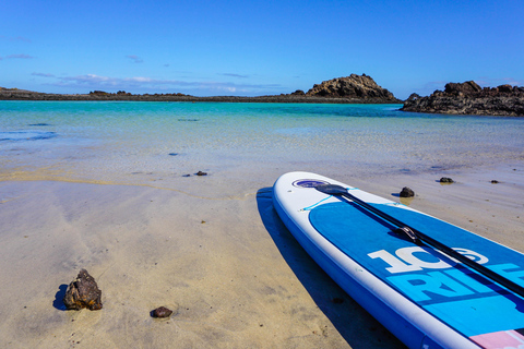 Fuerteventura: Viagem de 1 dia à Ilha de Lobos com serviço de busca no hotel