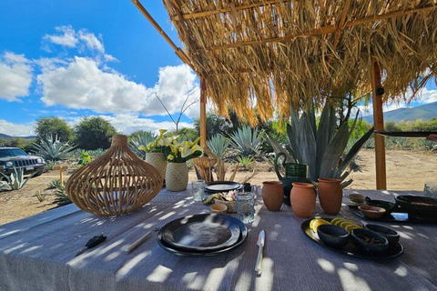 Oaxaca: Private Lunch in Maguey Fields with Mezcal Tasting