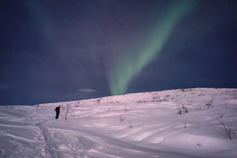 Tromsø: Ski/Randonnee Guided Tour Private tour