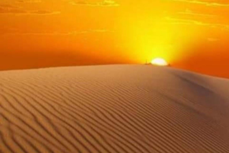 Muscat: Snorkeling Day Trip and Wahiba Sands Desert Sunset
