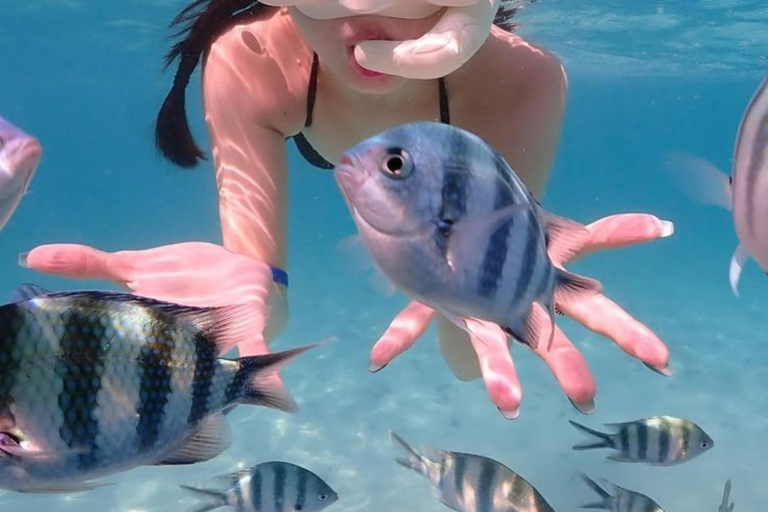 Lombok: 3 Secret Gili Snorkeling Trip & Traditional Heritage